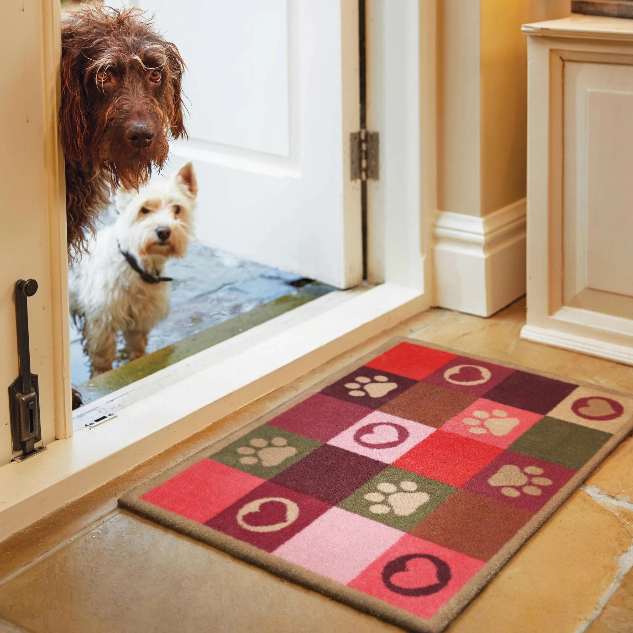 Patchwork Paws Home Entry Floor Mat Pet-Friendly Mat Stylish, Durable, and Dirt-Trapping Washable Rug 65x85 cm (2'1"x2'9")
