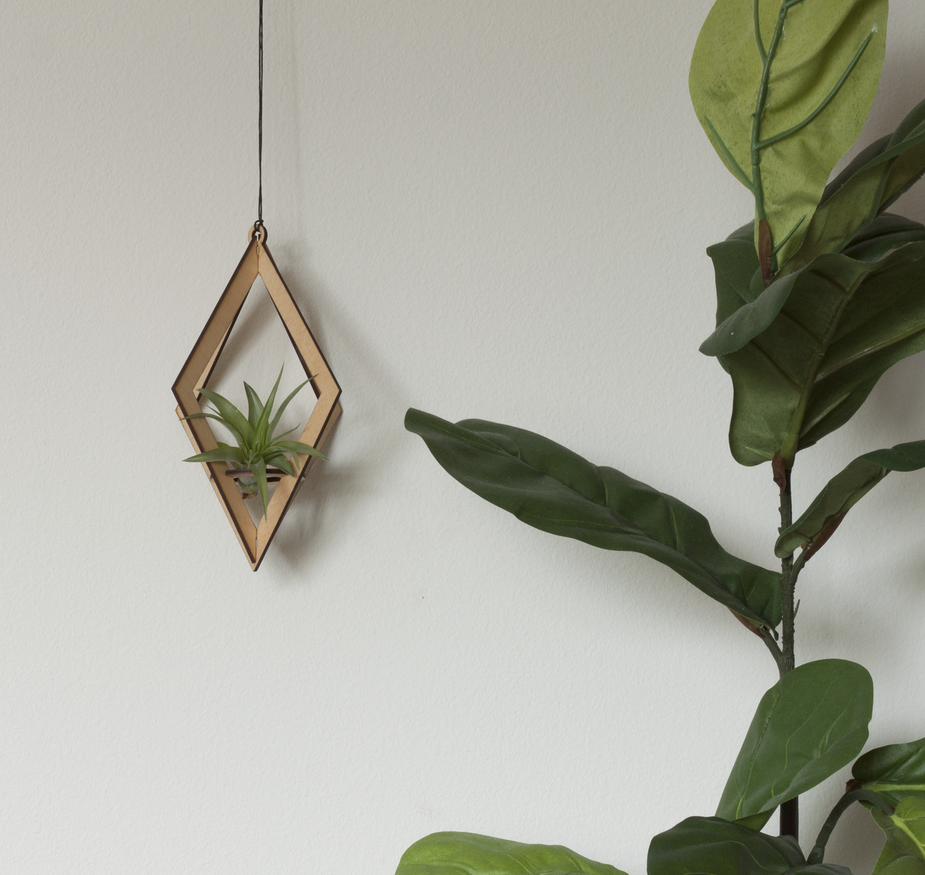 Air Plant Hanger - Diamond - 2 colours