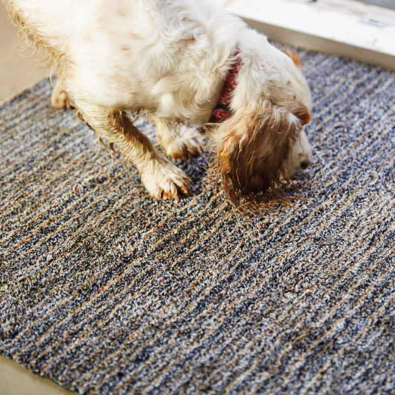 Hug Rug Plain Candy Washable Doormat in Slate Grey