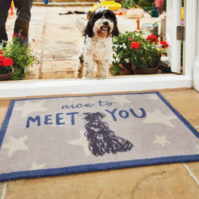 Hug Rug Battersea Meet You Washable Doormat in Blue
