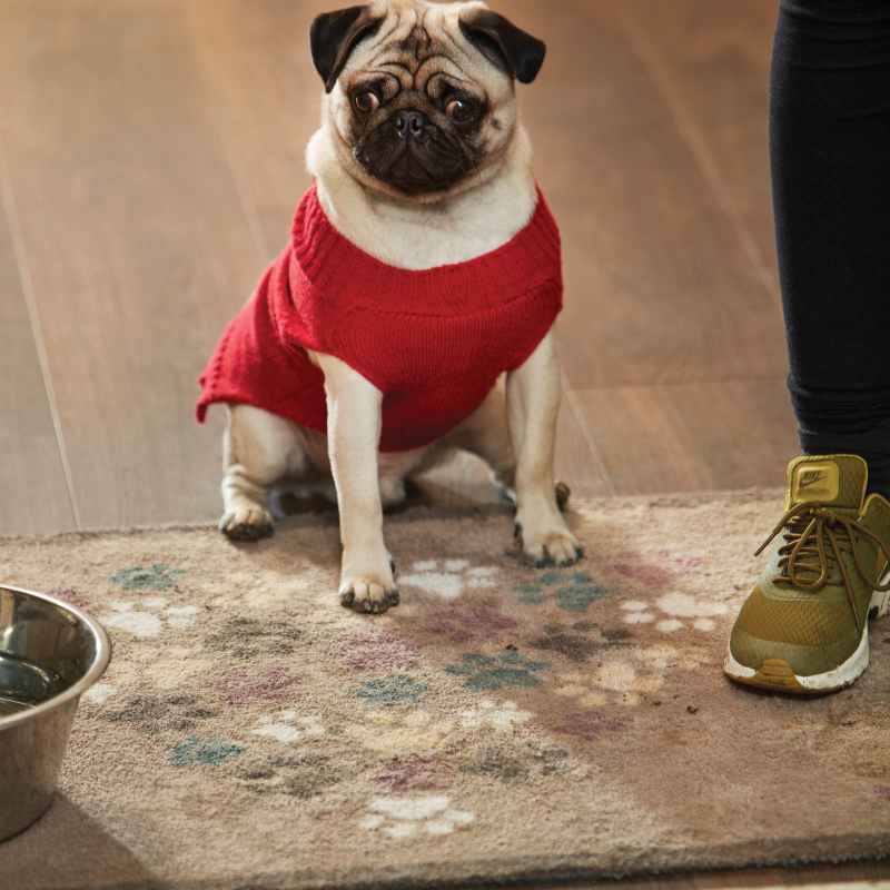 Hug Rug Barrier Mats Pet 45