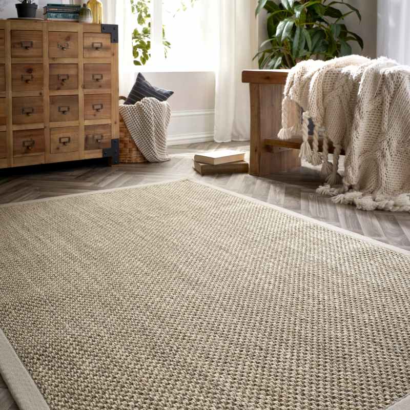 Origins Sisal Woven Border Textured Rug in Light Beige