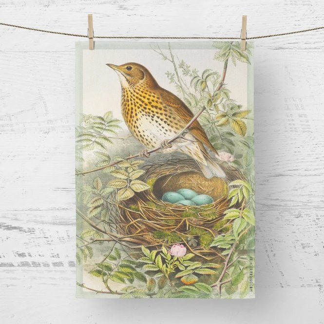 Song Thrush Tea Towel