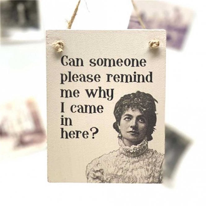 Wooden Hanging Sign - Can Someone Remind Me Why I Came In Here