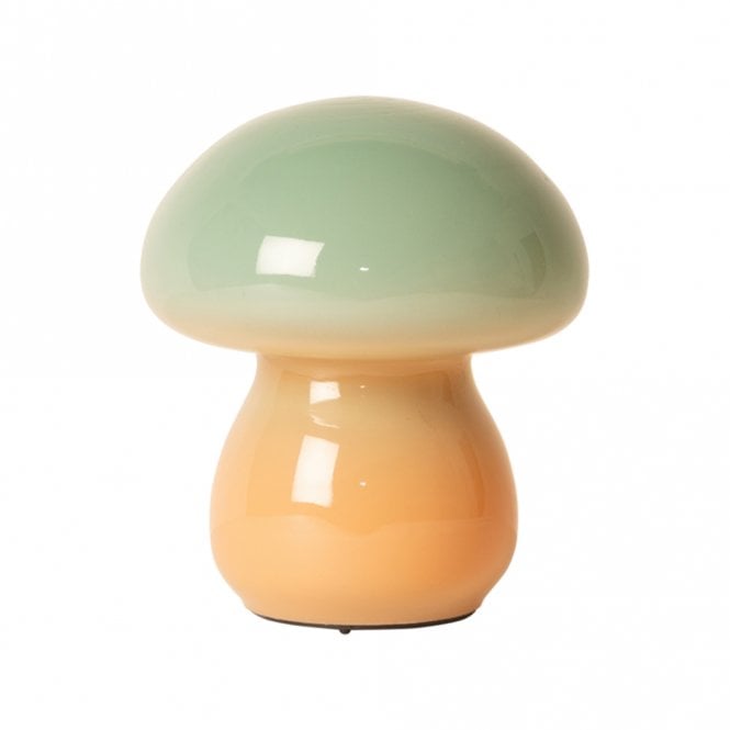 Ombre Mint & Orange Mushroom Lamp