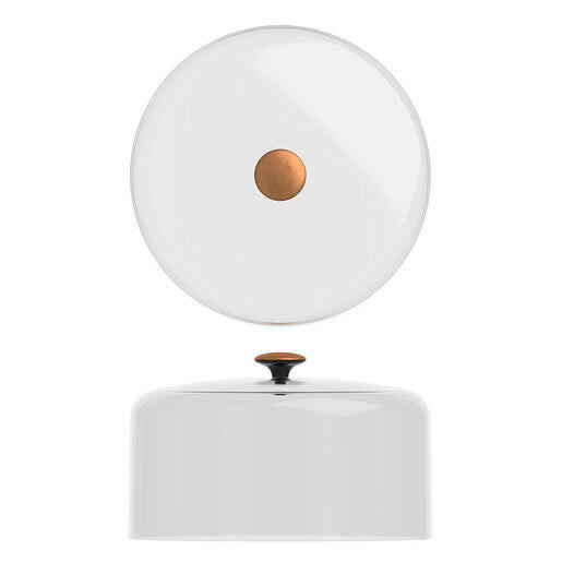 Creative Copper Handle Cloche Dome Cover 26.5cm Case Size 3