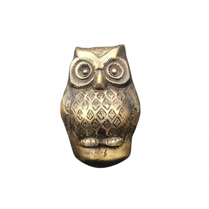 Baby Owl Door Knocker - Antique Brass