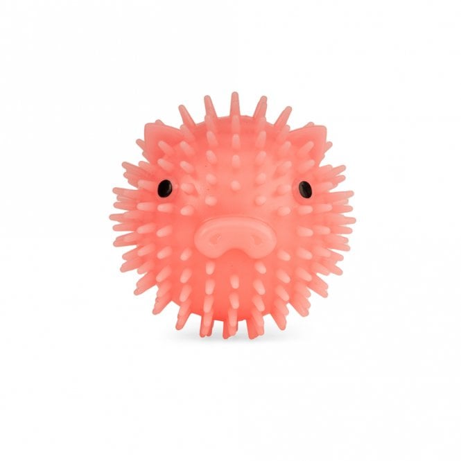 Piggy Bacon Scented Dog Ball