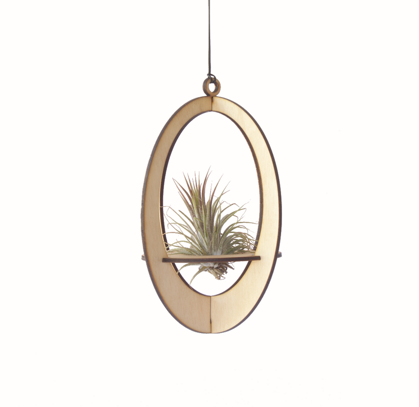 Air Plant Hanger - Oval - 2 colours