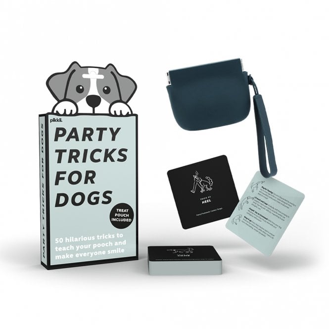 Party Tricks for Dogs