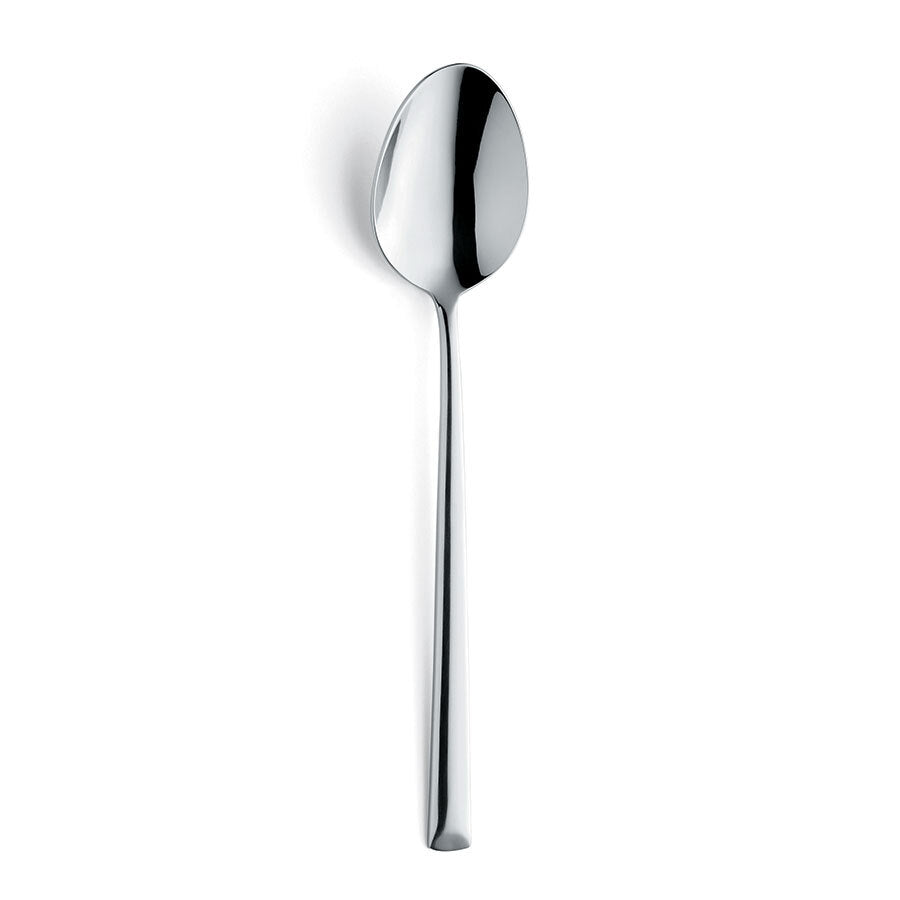 Amefa Metropole Table Spoon Case Size 12