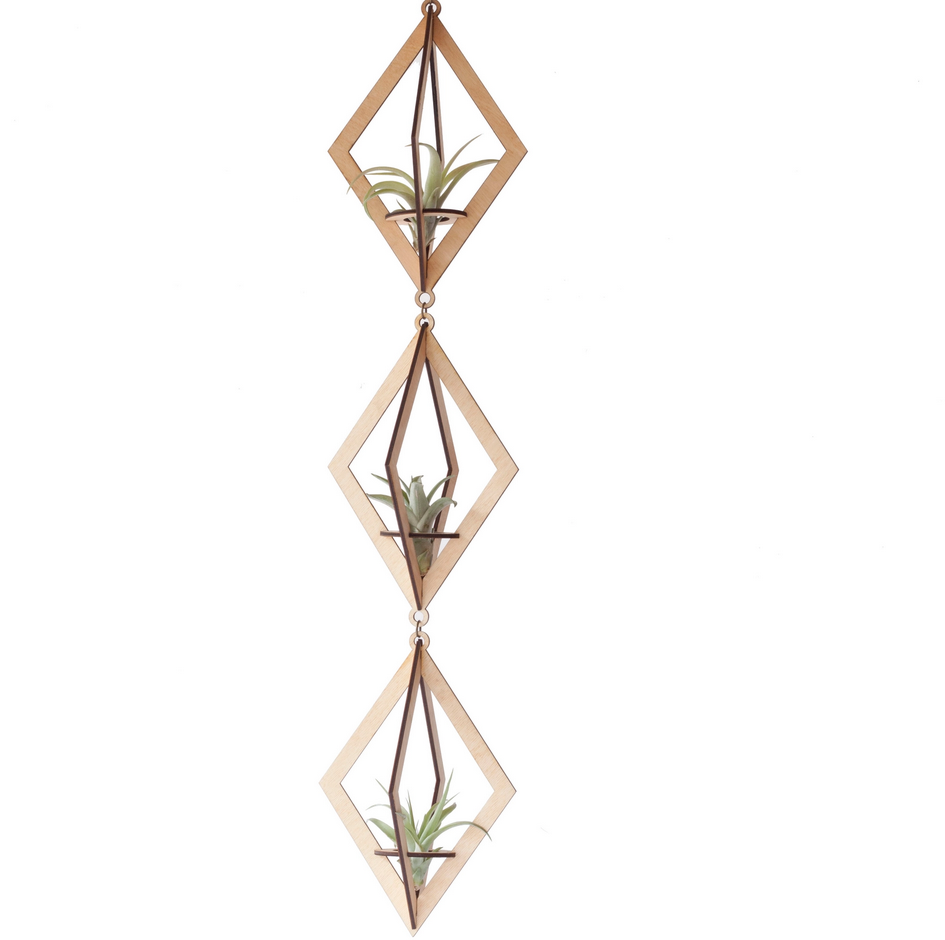 Air Plant Hanger - Trio - 2 colours